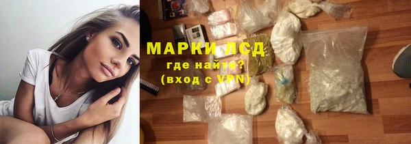 СК Медвежьегорск