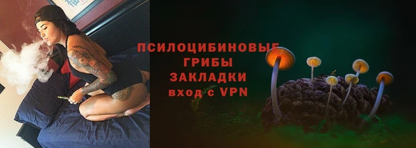 spice Бабаево