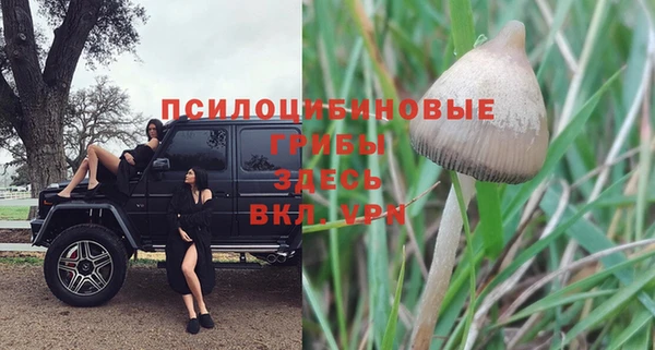 бутират Медногорск